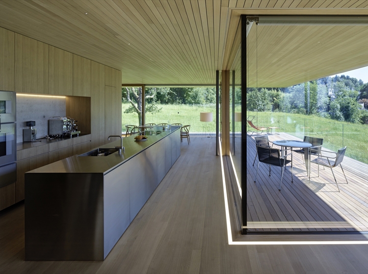 house-d-dietrich-untertrifaller-architekten-6.jpg 家装参考,厨房,带岛台,