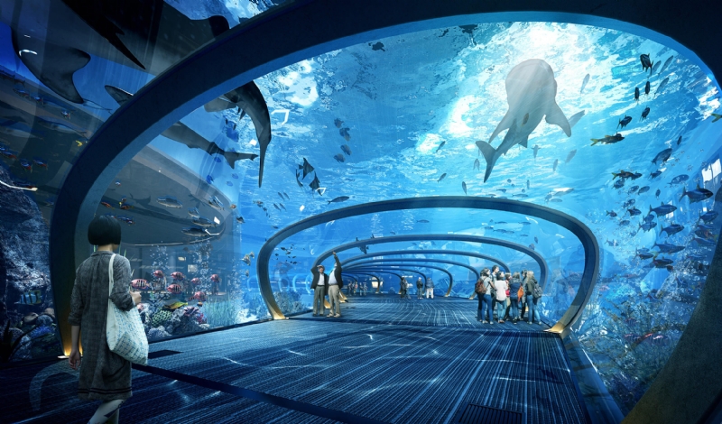 170113_CHINA_AQUARIUM_V02_TUNNEL_FINAL.jpg 参考素材,方案表现,室内渲染,
