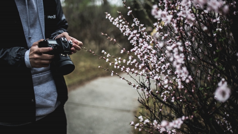 camera_flower_man_bush_photographer-132120.jpg 方案配图,客户爱好,摄影,