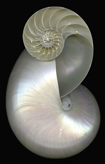 f4c16f6d0904eed590e23c33ac7d4a6f.jpg 参考素材,灵感来源,建筑造型,