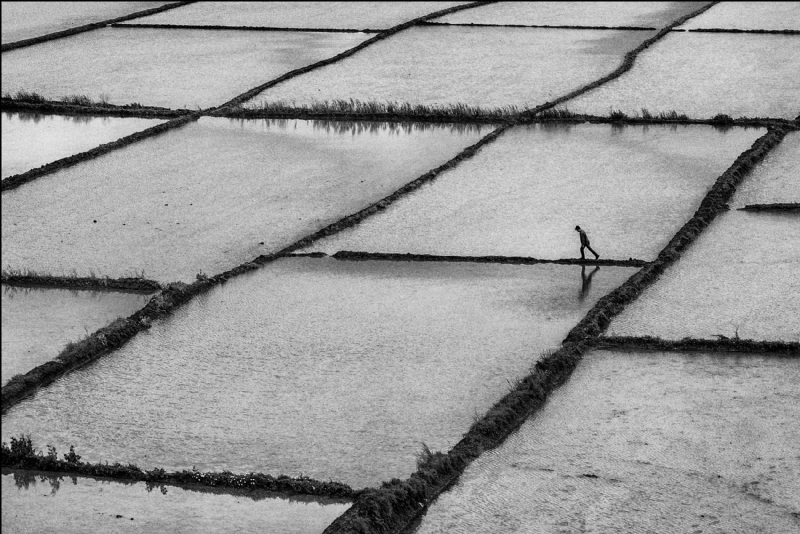 4e0240431fdfe5d13ca69d552d4b00a6-hd4.jpg 参考素材,灵感来源,肌理效果,