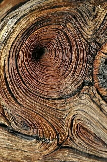 6bcfa00cb1d102948735852c522bf0af.jpg 参考素材,灵感来源,肌理效果,