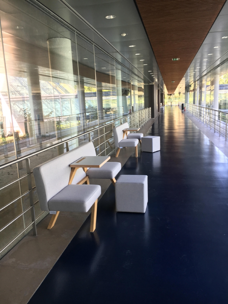 tooapicnic-img-0353-h.jpg 软装单品,座具,沙发,