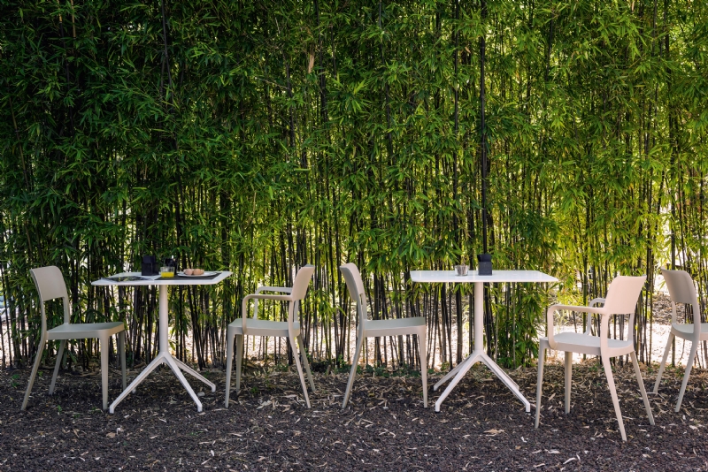 nene-3-b.jpg 软装单品,座具,餐椅,