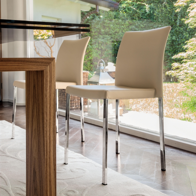 stella-amb.jpg 软装单品,座具,餐椅,