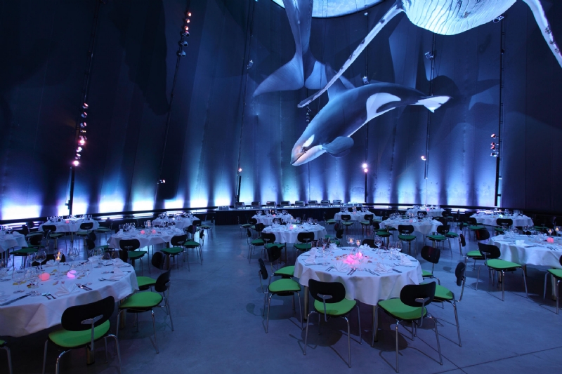 Ozeaneum_Stralsund_Behnisch_4_b.jpg 软装单品,办公,会议洽谈椅,