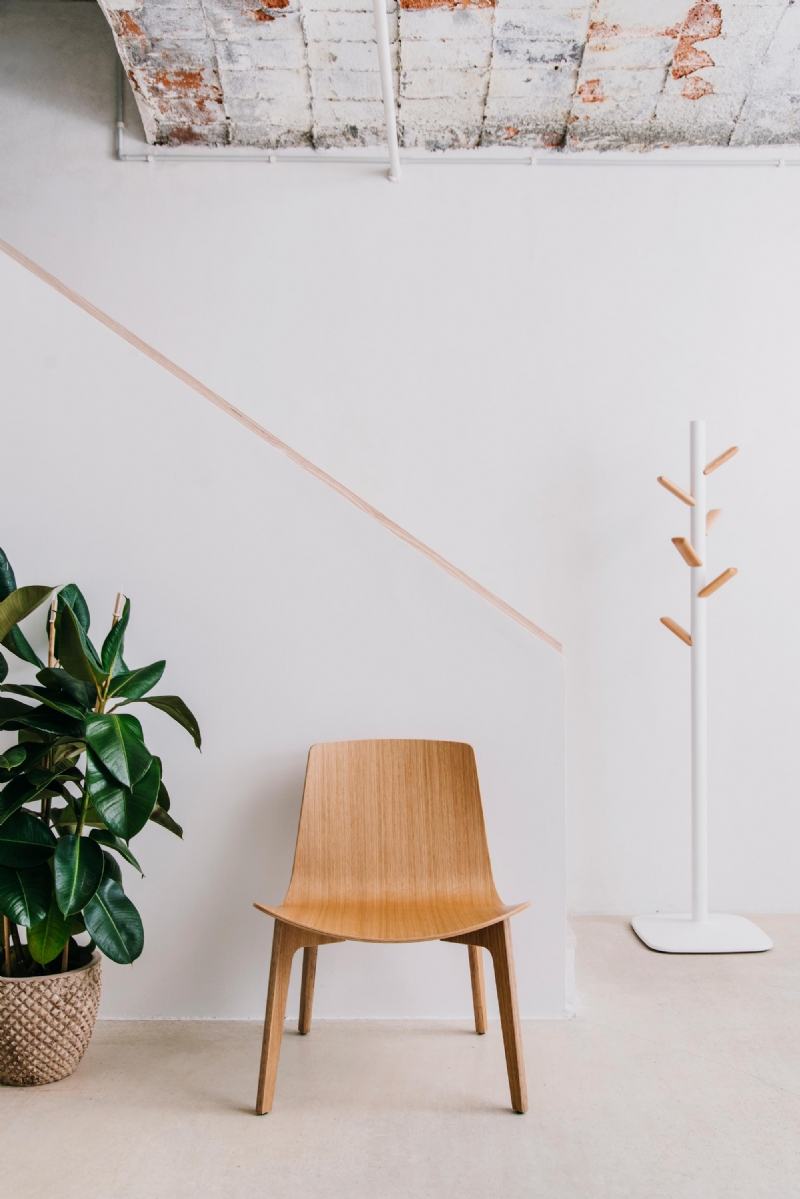 lottuswood-chair-6-h.jpg 软装单品,座具,餐椅,