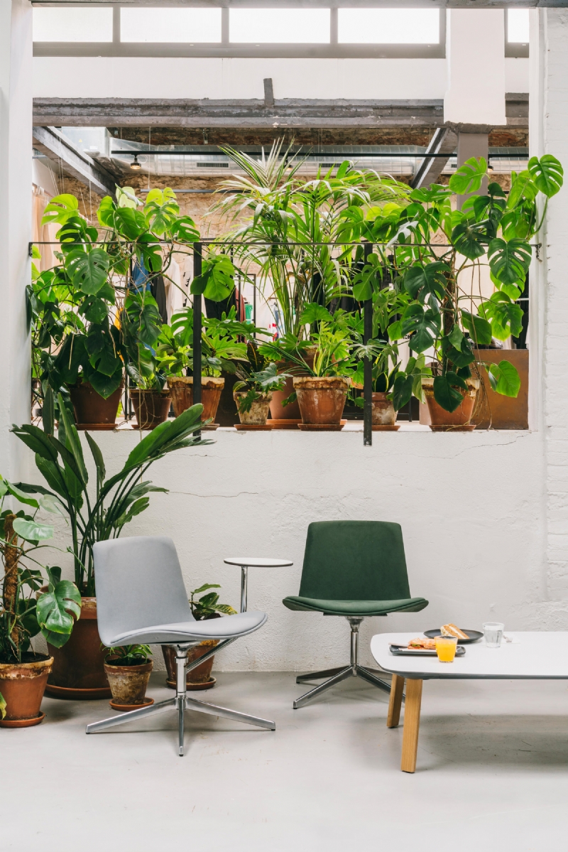 lottusnote-5-h.jpg 软装单品,座具,休闲椅,