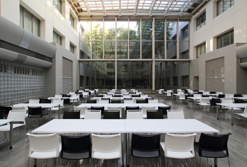 klif-14-b.jpg 软装单品,座具,餐椅,