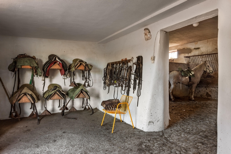 niza-collectionisi-alcala-70-b.jpg 软装单品,座具,户外椅,
