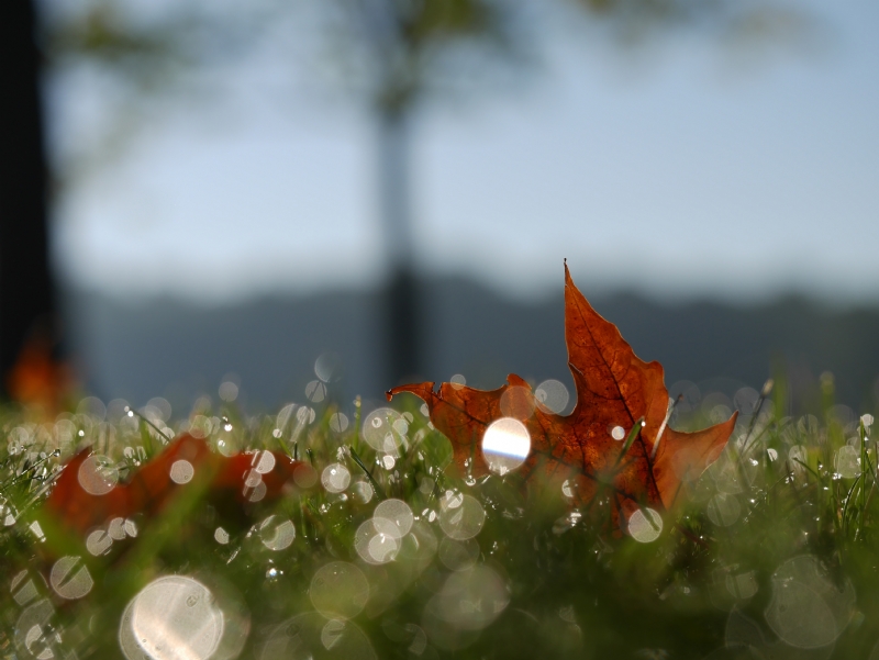 aaron-burden-rsGPpnuLEc4-unsplash9160.jpg 方案配图,格调渲染,唯美梦幻,