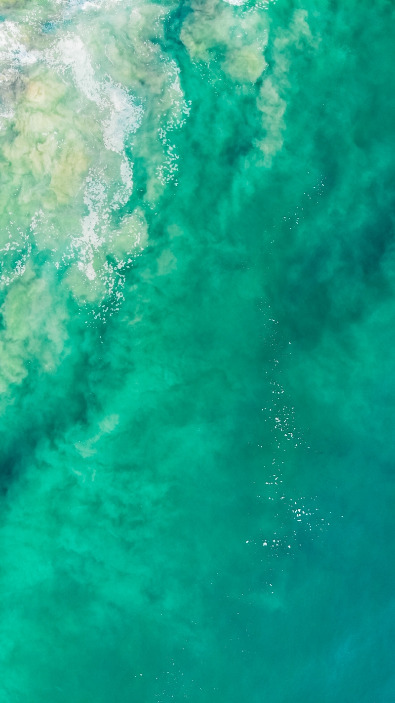 carles-rabada-yuJ95qXvPmA-unsplash1811.jpg 方案配图,格调渲染,唯美梦幻,