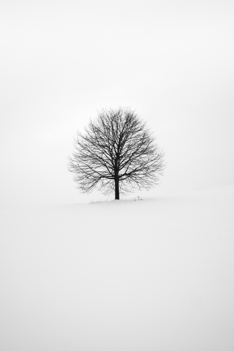 fabrice-villard-Jrl_UQcZqOc-unsplash66f3.jpg 方案配图,格调渲染,唯美梦幻,