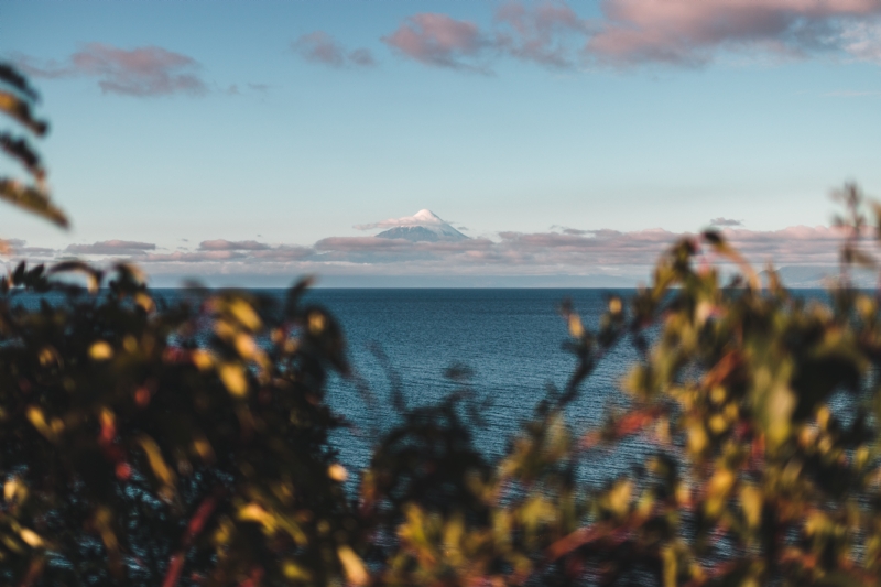 jan-kronies-Z0JU0KYuNwk-unsplash81d7.jpg 方案配图,格调渲染,唯美梦幻,