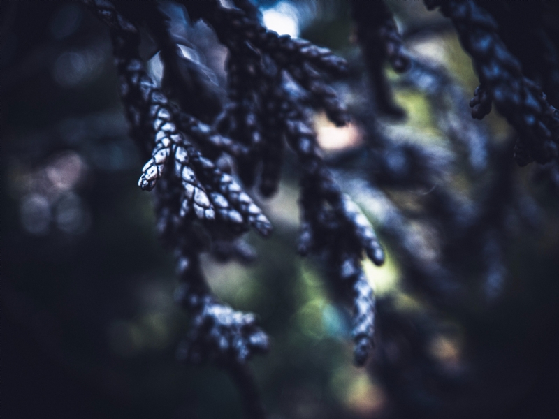 jeffrey-riley-BDAXrmBgquY-unsplash7b2e.jpg 方案配图,格调渲染,唯美梦幻,