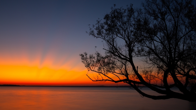 john-westrock-dkp8BjotxSU-unsplash3665.jpg 方案配图,格调渲染,唯美梦幻,