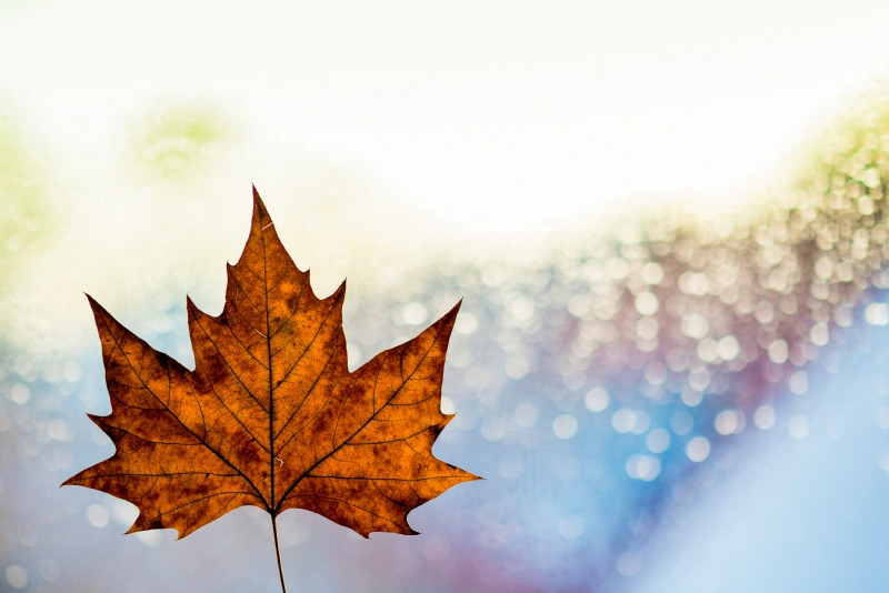 kai-oberhauser-uZxT3njDQYc-unsplashe0e2.jpg 方案配图,格调渲染,唯美梦幻,