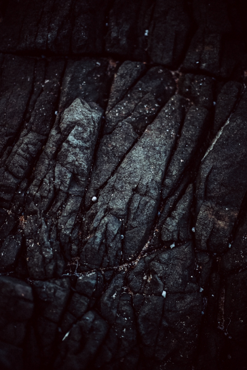 kyle-frederick-_iP64nyqUFs-unsplashf651.jpg 方案配图,格调渲染,唯美梦幻,