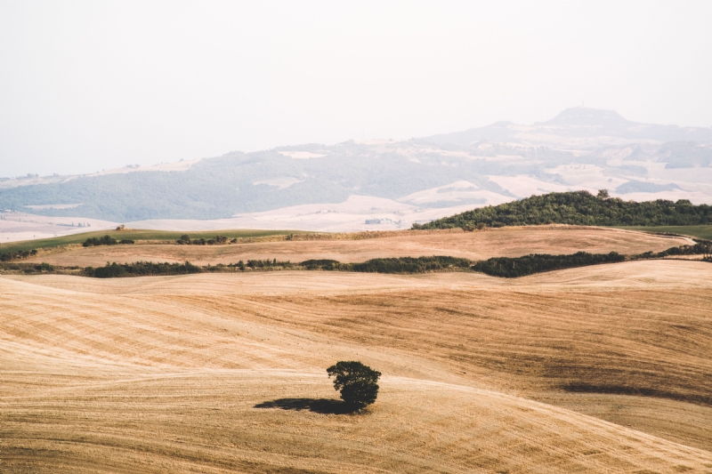 leonardo-yip-MHh_JRZgHbQ-unsplash2967.jpg 方案配图,格调渲染,唯美梦幻,