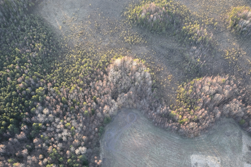 maksim-shutov-Fz2bkiZs0xQ-unsplash8c06.jpg 方案配图,格调渲染,唯美梦幻,