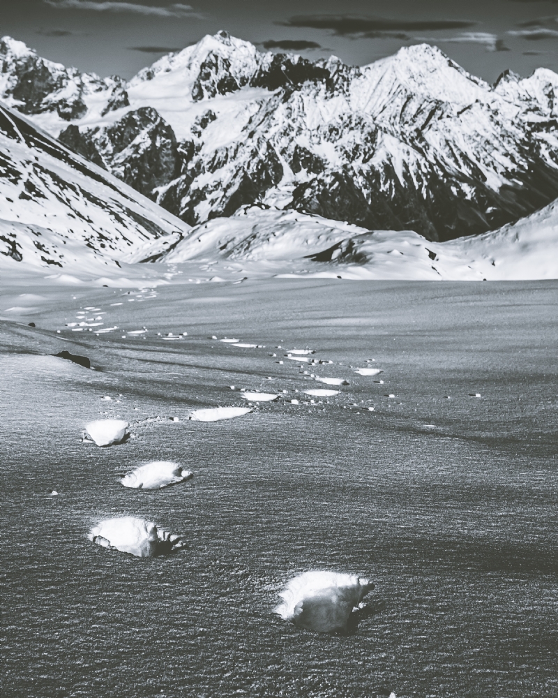 marek-piwnicki-ZPx5GDg-l44-unsplasheff4.jpg 方案配图,格调渲染,唯美梦幻,