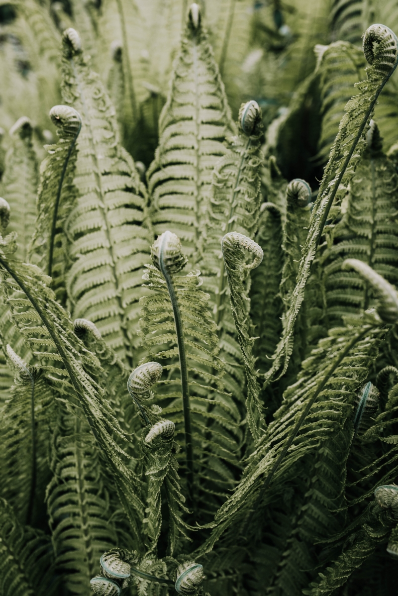 maria-duda-b7jGGUO4LFs-unsplash30e4.jpg 方案配图,格调渲染,唯美梦幻,