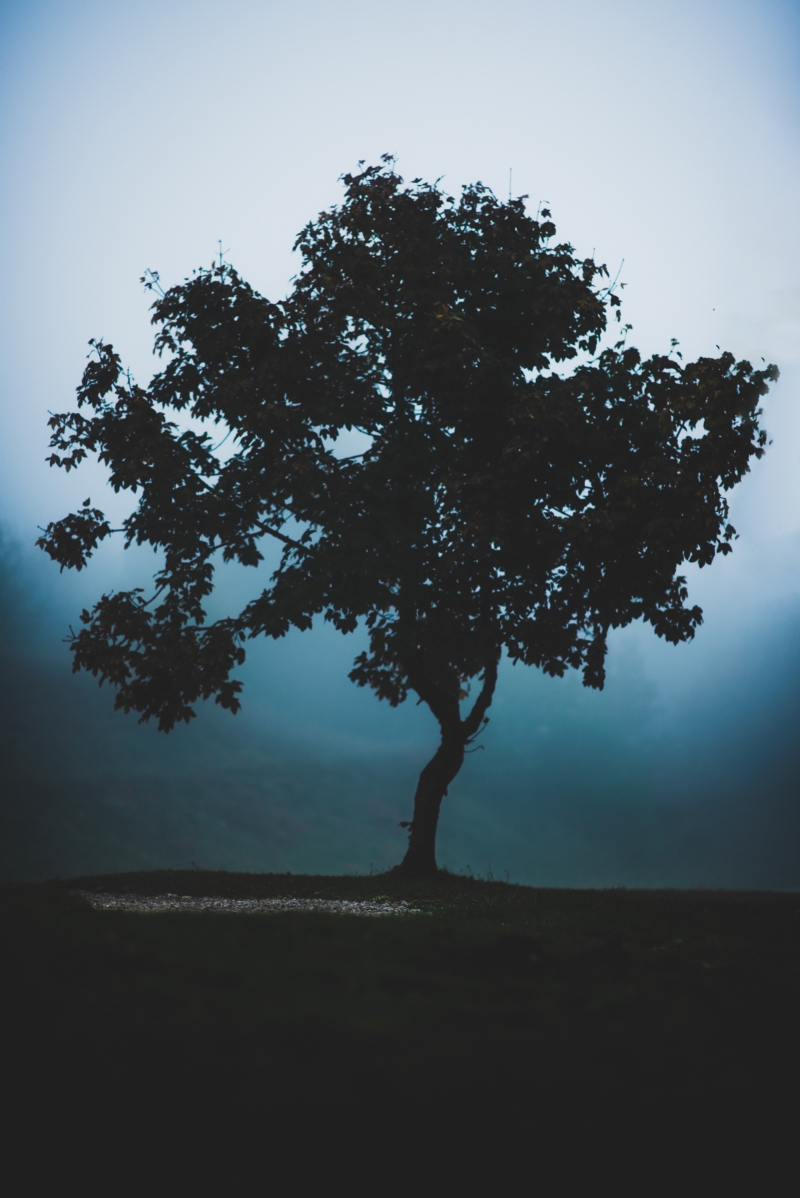 mathieu-bigard-02NBaMeULZM-unsplash7053.jpg 方案配图,格调渲染,唯美梦幻,