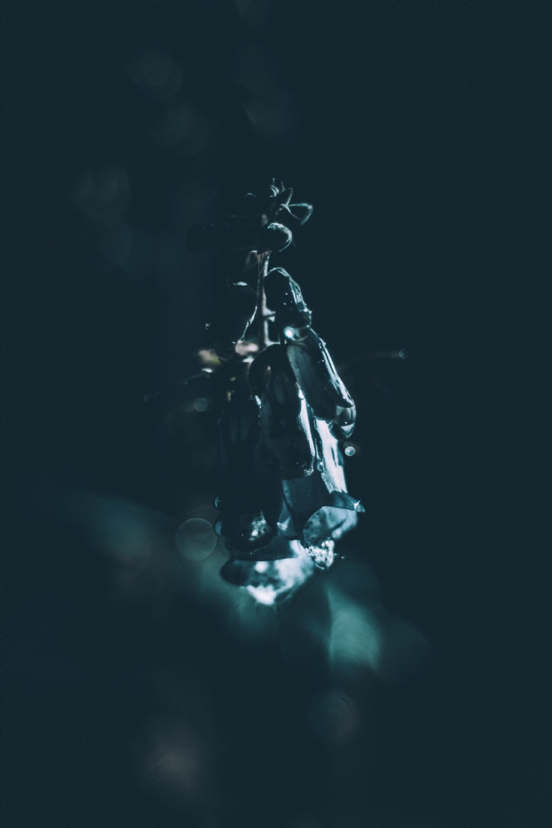 mathieu-bigard-8fCLWvaWGuE-unsplashf268.jpg 方案配图,格调渲染,唯美梦幻,