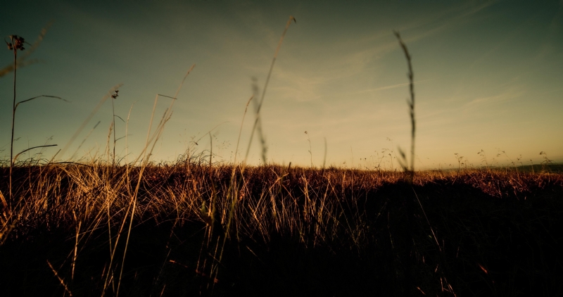 mathieu-bigard-f53MjG7935Q-unsplashf0ec.jpg 方案配图,格调渲染,唯美梦幻,