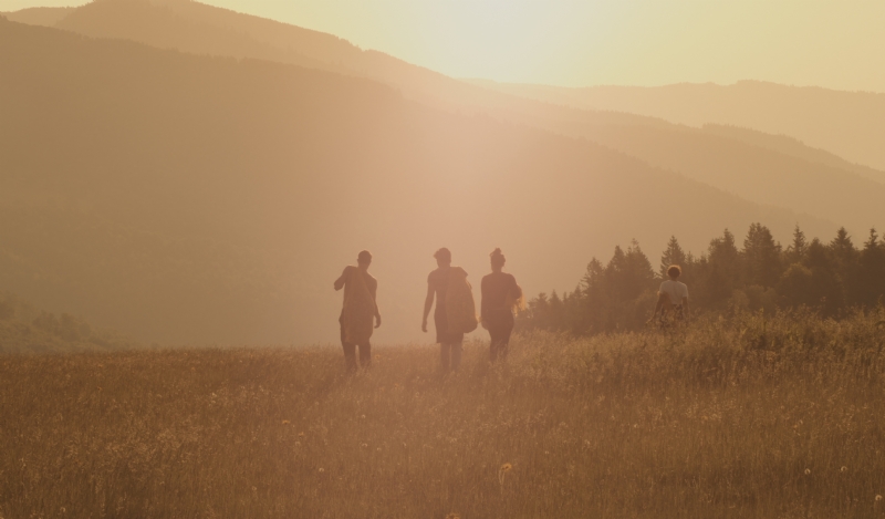 mathieu-bigard-I1w3TonHKlc-unsplash755a.jpg 方案配图,格调渲染,唯美梦幻,