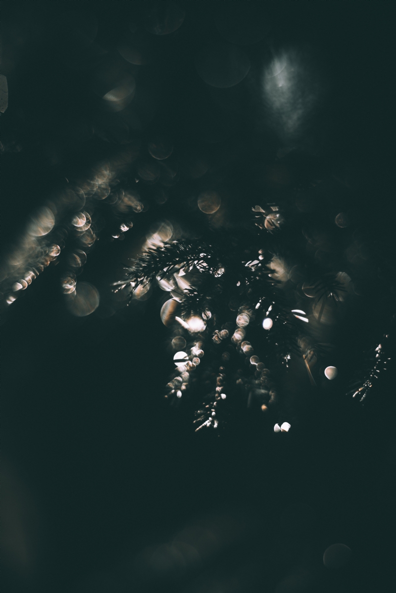 mathieu-bigard-KZCoq7jSV00-unsplash4199.jpg 方案配图,格调渲染,唯美梦幻,