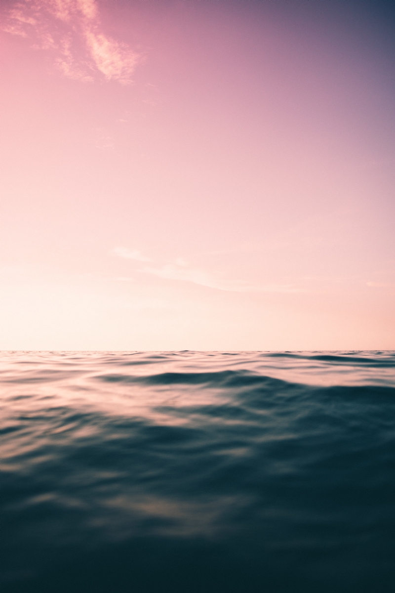 max-andrey-7ocKzyxxxqQ-unsplashaadf.jpg 方案配图,格调渲染,唯美梦幻,