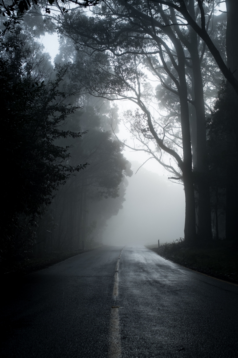 michael-mouritz-WXX_DhjlmD4-unsplash2056.jpg 方案配图,格调渲染,唯美梦幻,