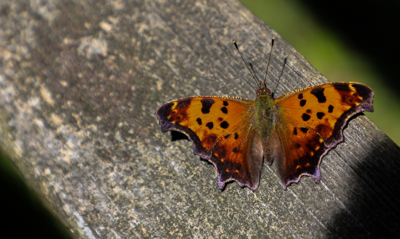 michael-weidner-lYw-Z2i3lKI-unsplash4be8.jpg 方案配图,格调渲染,唯美梦幻,