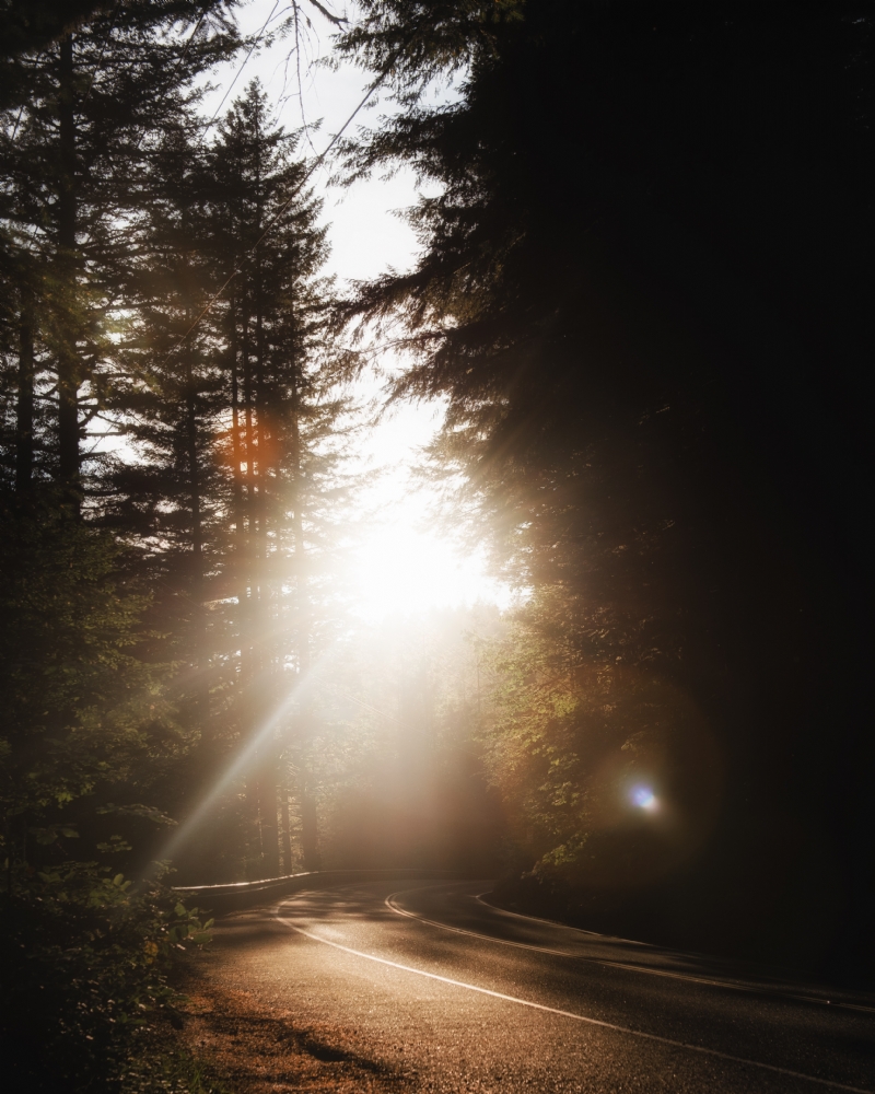 missy-fant-CcaGJVETles-unsplash2588.jpg 方案配图,格调渲染,唯美梦幻,