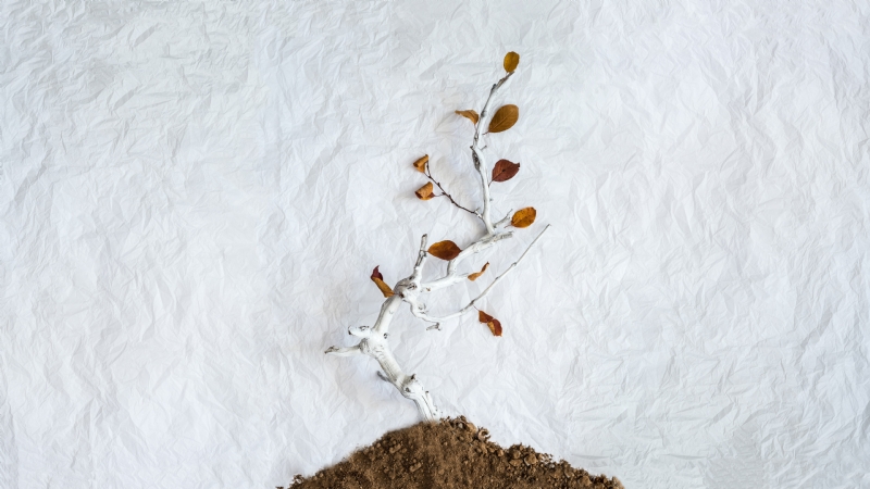 mohammad-metri-1QnrknLiuKI-unsplashe124.jpg 方案配图,格调渲染,唯美梦幻,