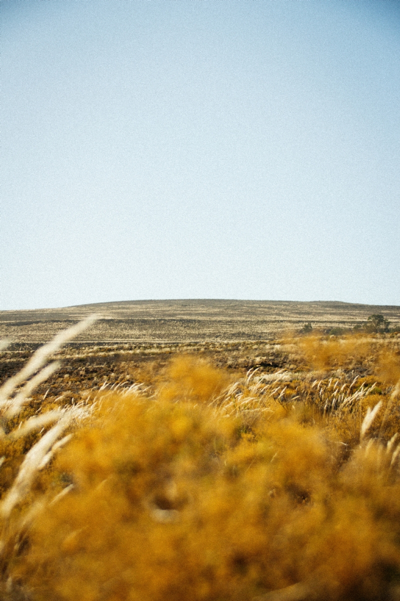 mzimasi-ndzombane-mjlX8EFz6gw-unsplashd5cc.jpg 方案配图,格调渲染,唯美梦幻,