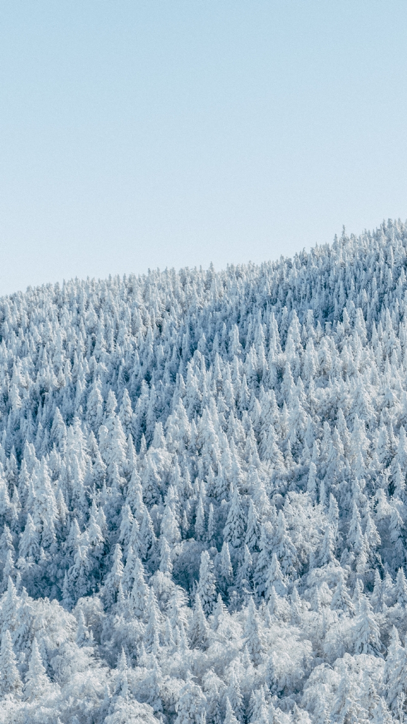 nicolas-cool-GSQISzQlYtY-unsplash7a4b.jpg 方案配图,格调渲染,唯美梦幻,