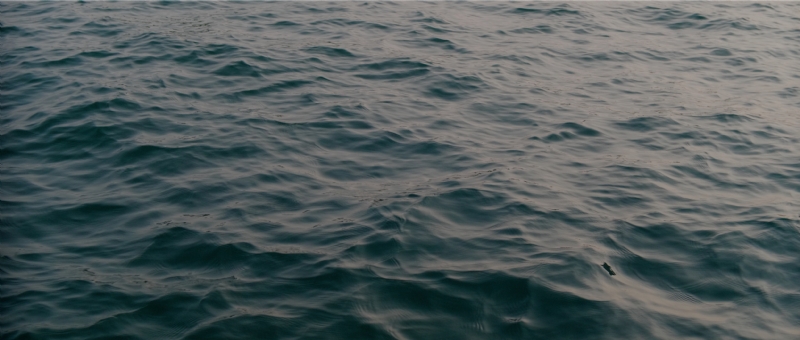 patrick-tomasso-UeuSuM1M43U-unsplash13c6.jpg 方案配图,格调渲染,唯美梦幻,