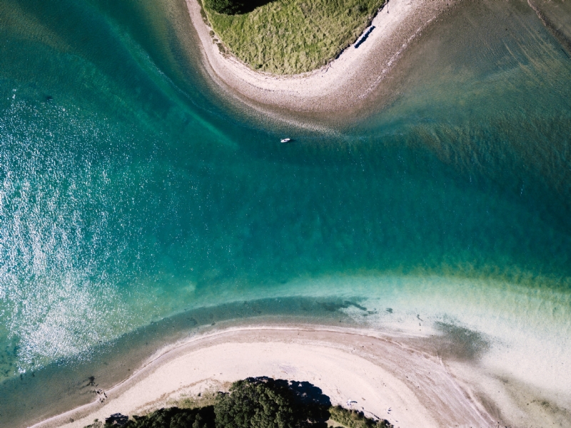 aaron-birch-sQ1rw9FgOqY-unsplash6969.jpg 方案配图,色彩意境,绿色,