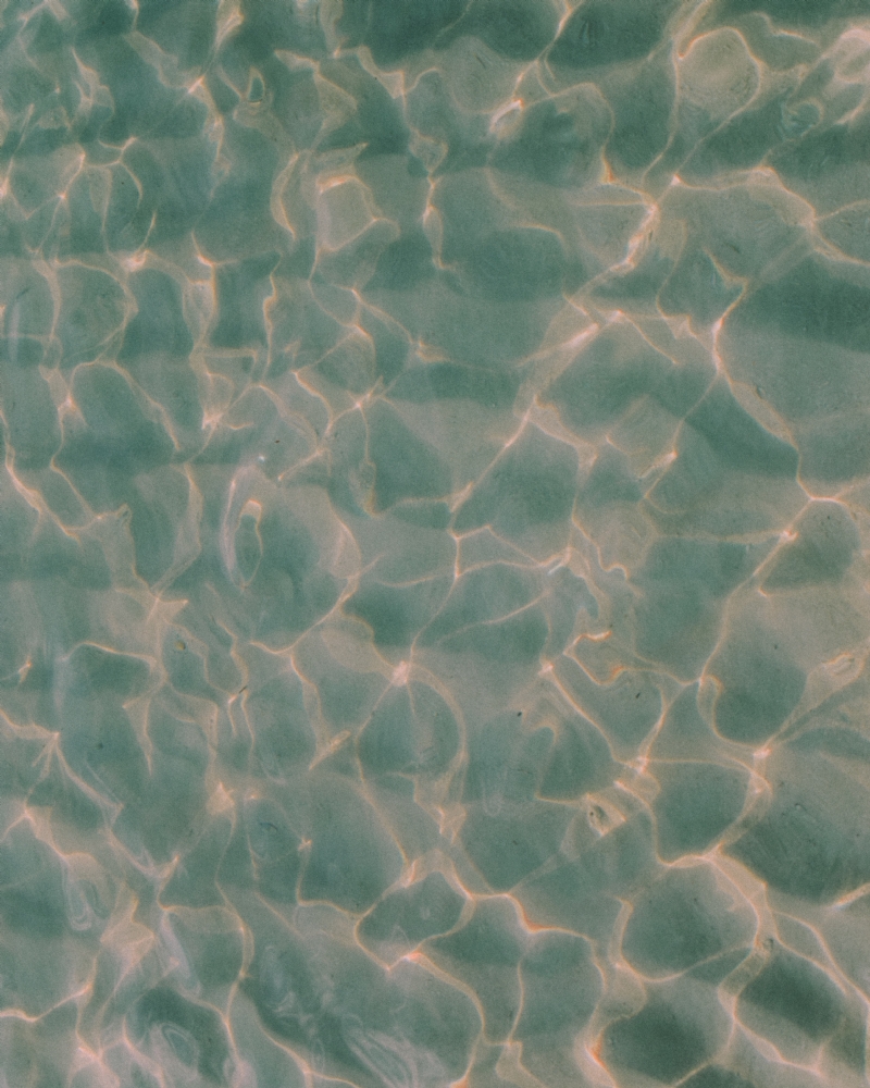 abyan-athif-K0U0eSAjFGU-unsplash10de.jpg 方案配图,色彩意境,绿色,