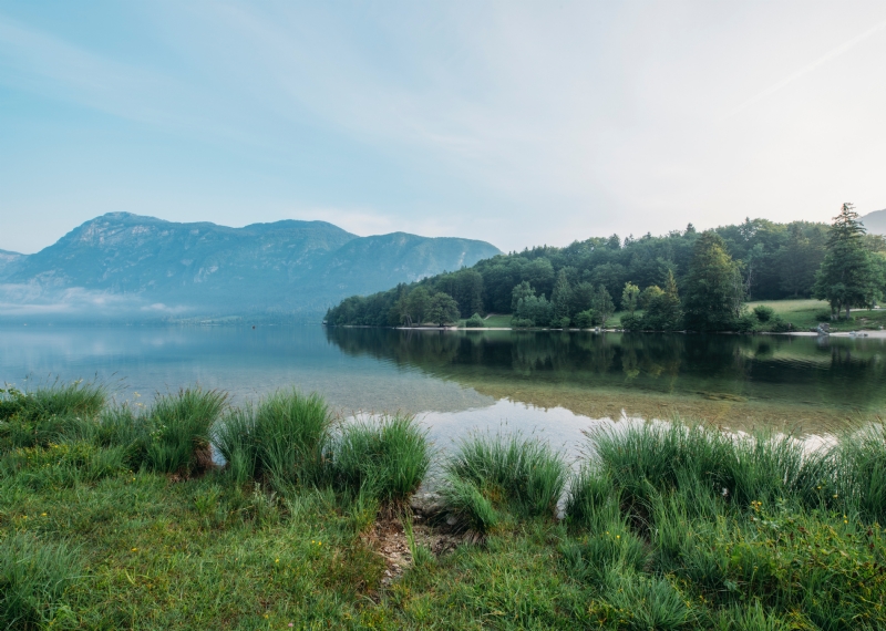 ales-krivec-wC69cxOE7Us-unsplash166a.jpg 方案配图,色彩意境,绿色,