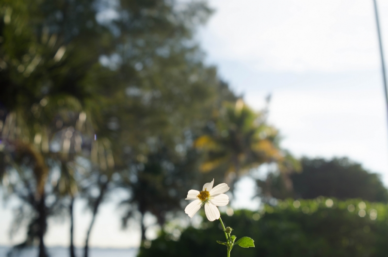 alex-harvey-xlKpYnV4km0-unsplash4ce6.jpg 方案配图,色彩意境,绿色,