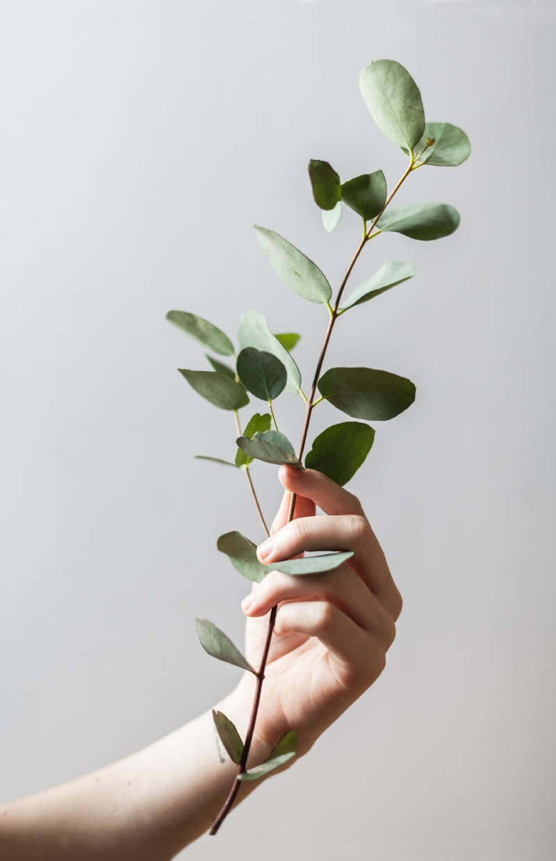 alex-loup-4N5huJDOydQ-unsplash8ea4.jpg 方案配图,色彩意境,绿色,