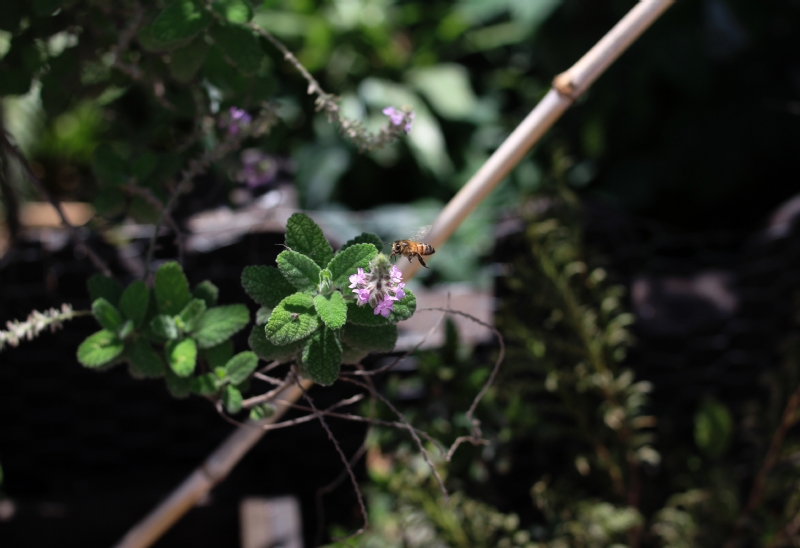 andrea-rico-KXn4HqM_uGE-unsplash9e84.jpg 方案配图,色彩意境,绿色,