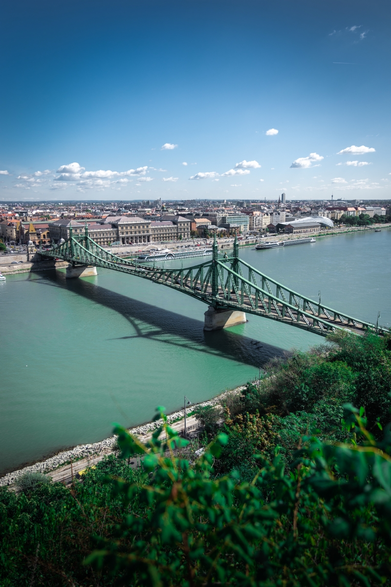 ansgar-scheffold-DV18C031a9U-unsplash268d.jpg 方案配图,色彩意境,绿色,