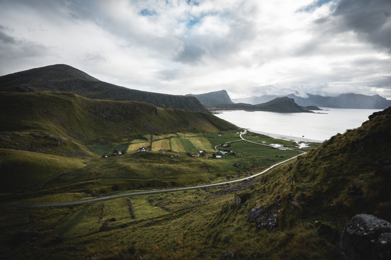 ansgar-scheffold--tMnLVg6L1w-unsplash847c.jpg 方案配图,色彩意境,绿色,