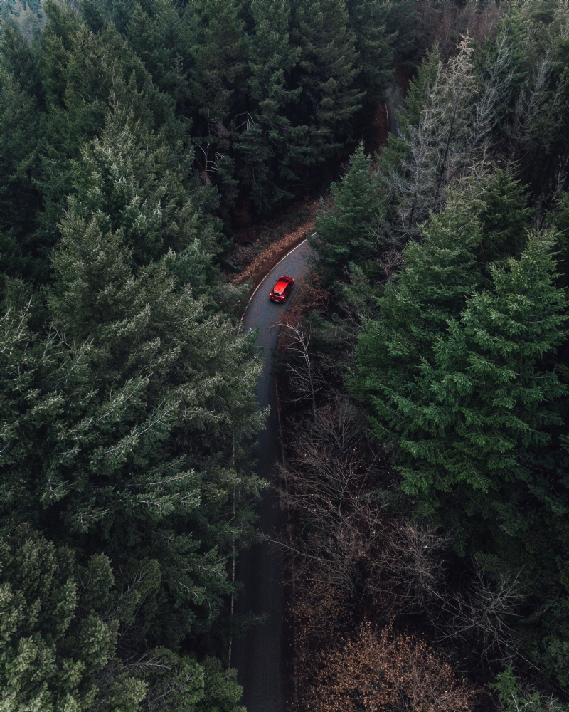 christopher-rusev-Unr6SRIdtD8-unsplashc091.jpg 方案配图,色彩意境,绿色,