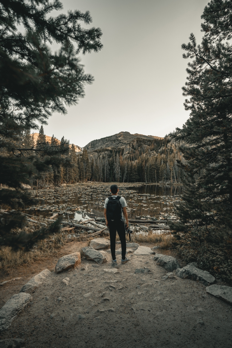 clay-banks-GqCdM2-reL4-unsplash3c58.jpg 方案配图,色彩意境,绿色,
