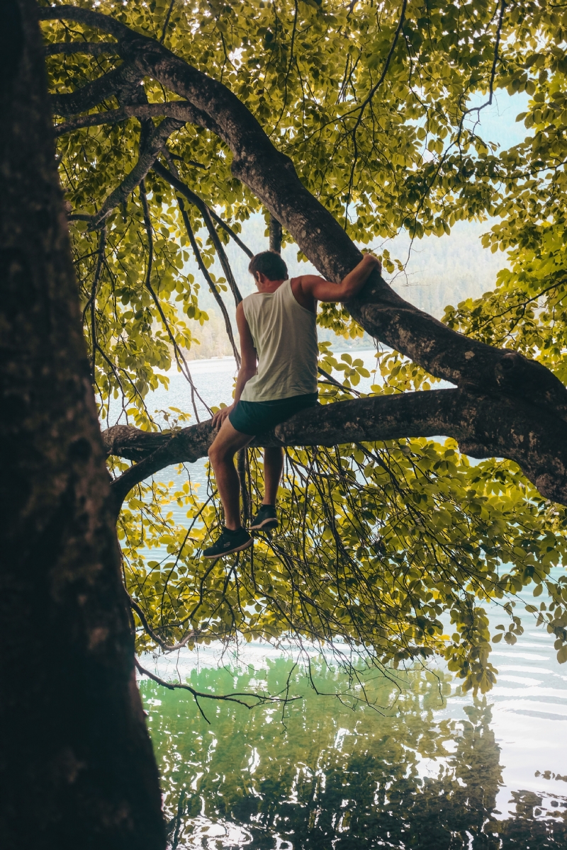 cristina-gottardi-aF3xQZA4GnY-unsplashea88.jpg 方案配图,色彩意境,绿色,